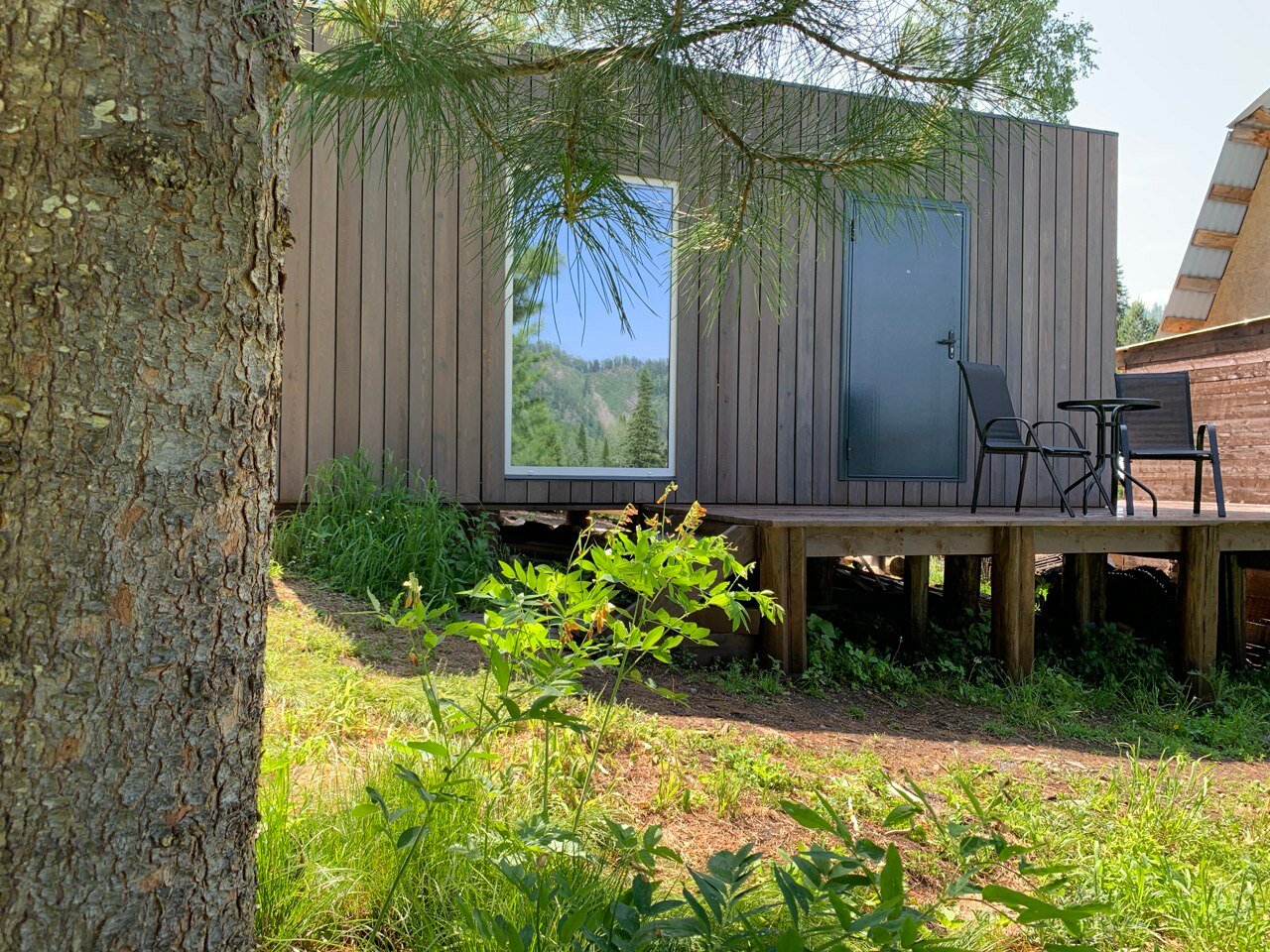 Фото У Петровича