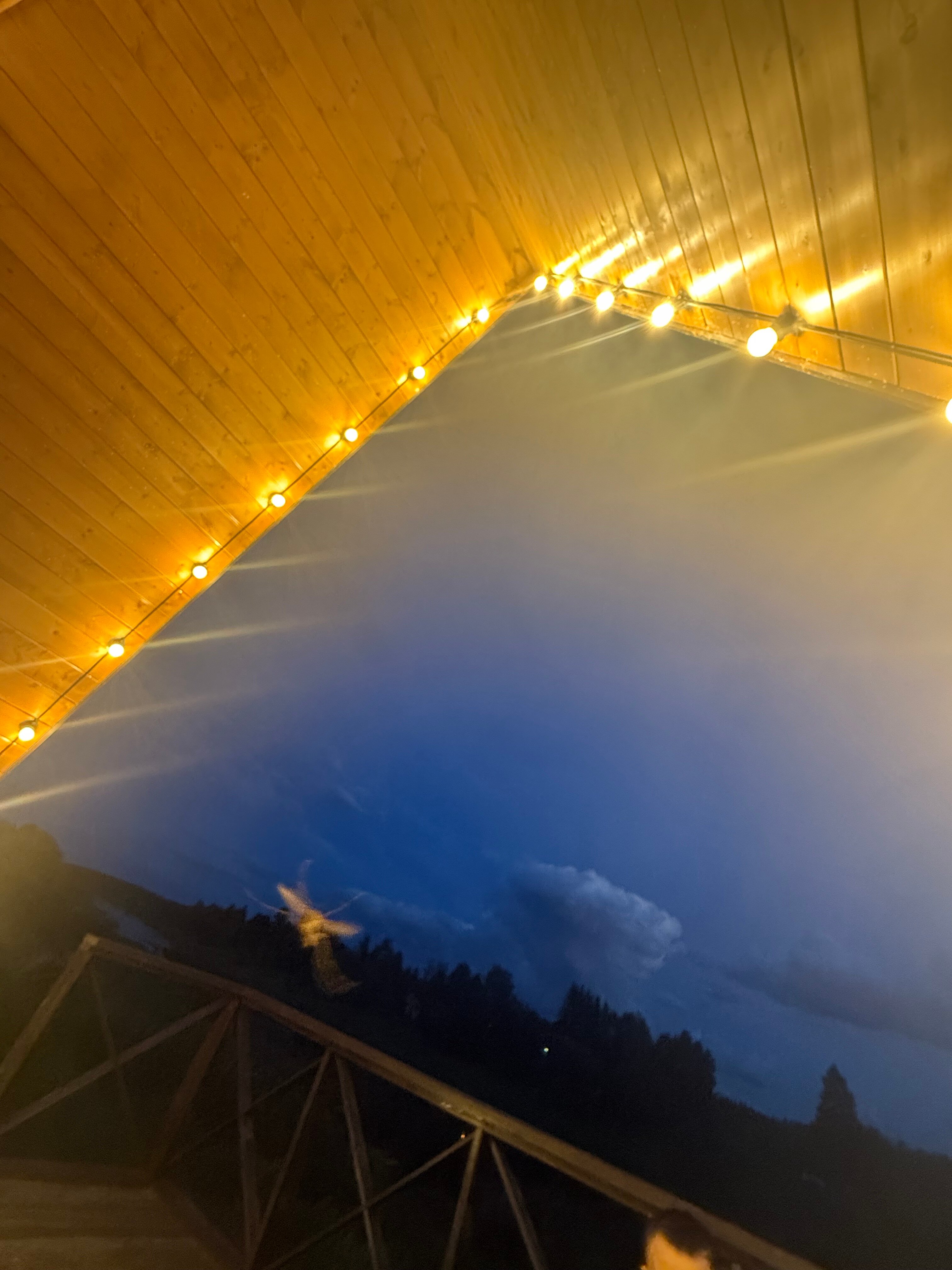 Фото Глэмпинг Тверской-Ямской