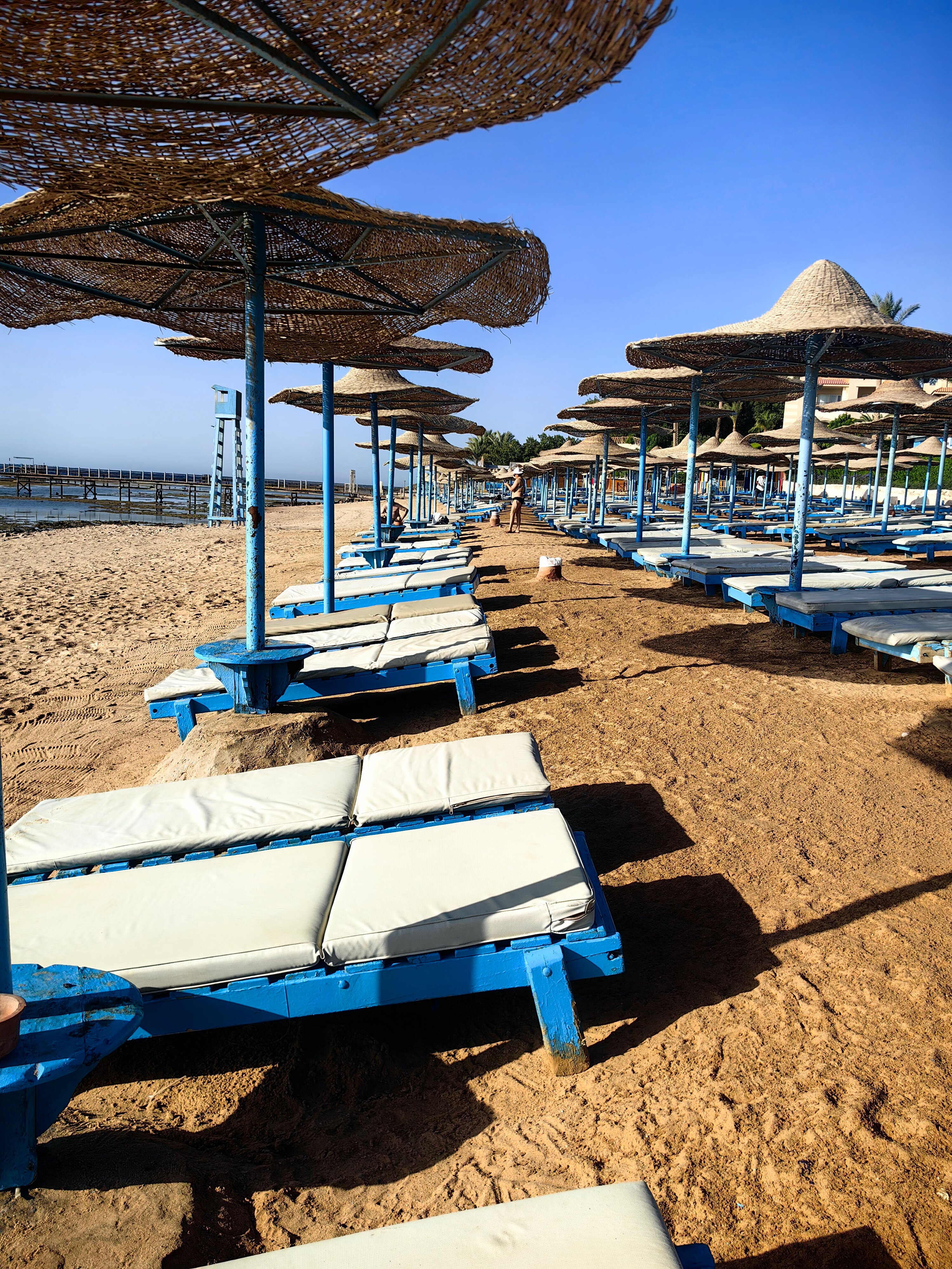 Фото Rehana Royal Beach Resort - Aquapark & SPA