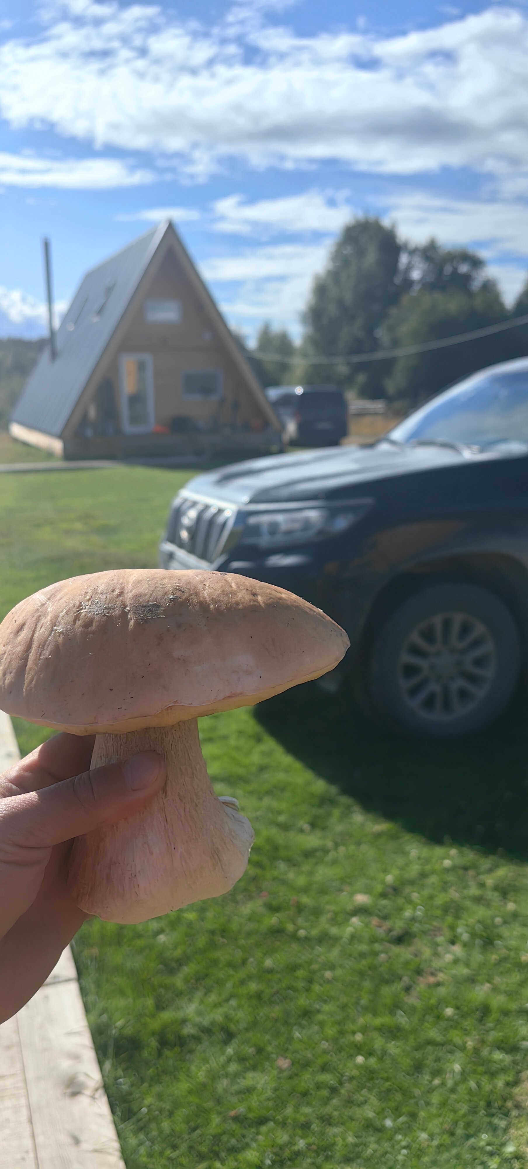 Фото Белый кит