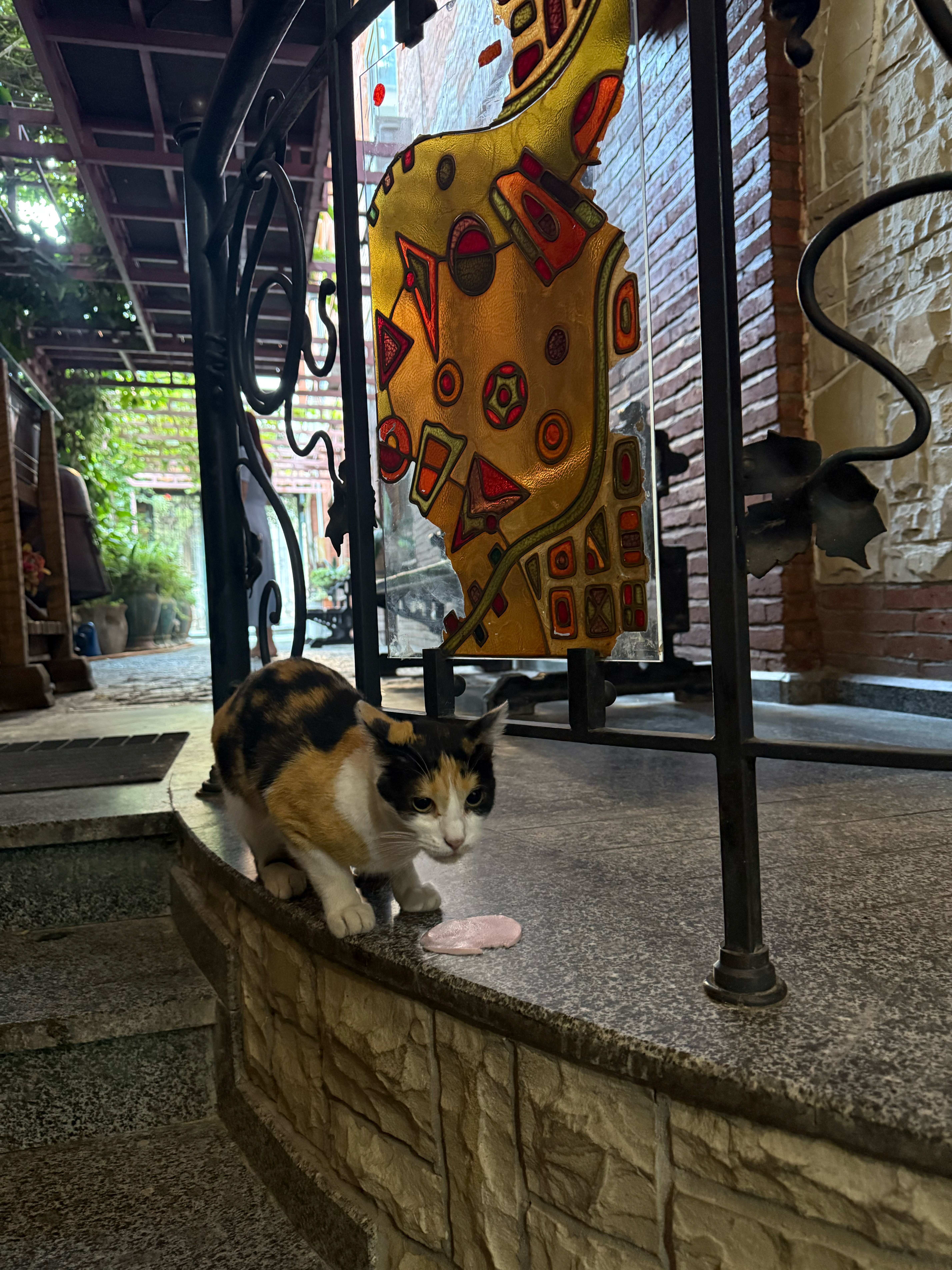 Фото Ирмени