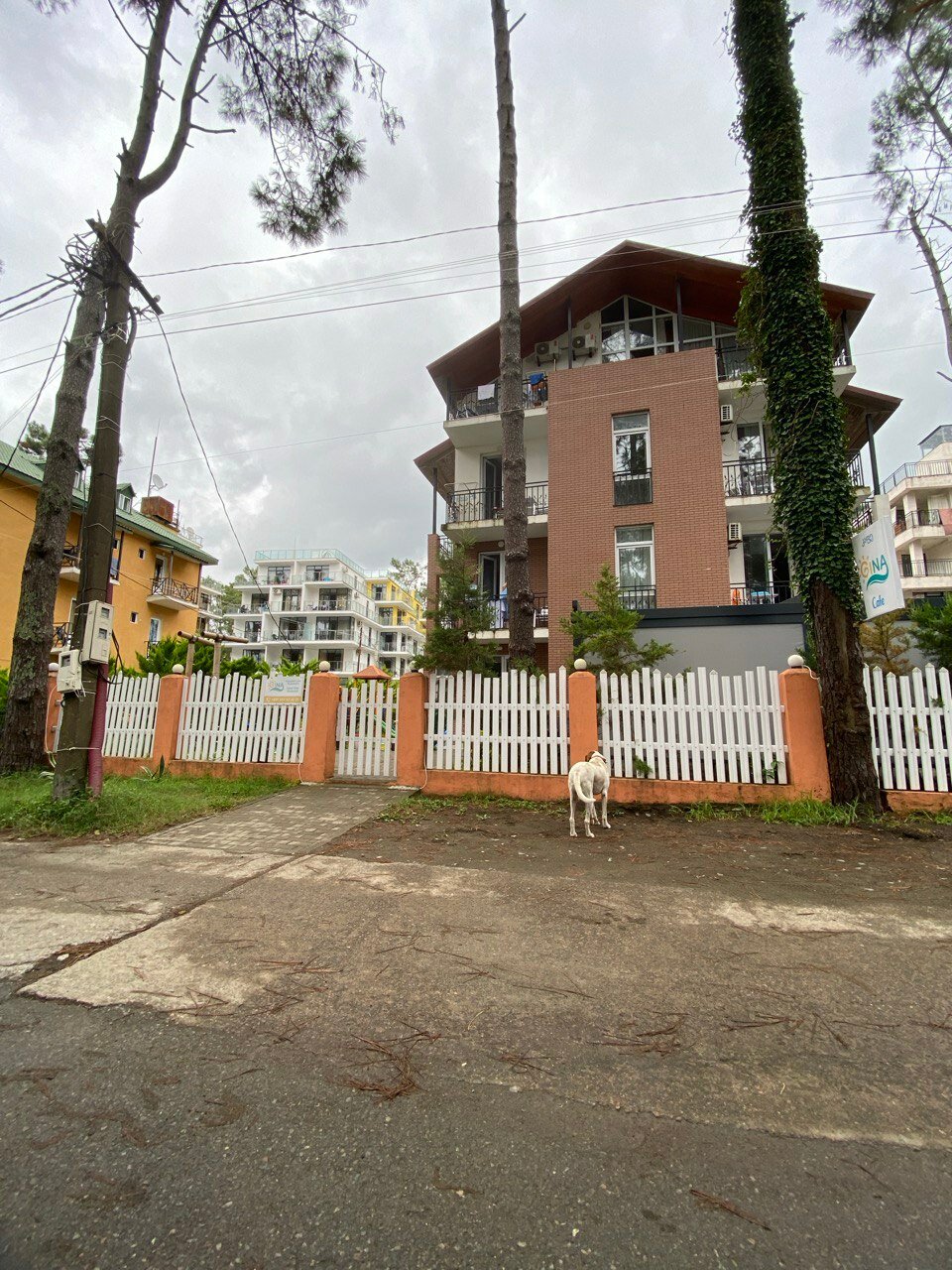 Фото Отель GiNa Shekvetili