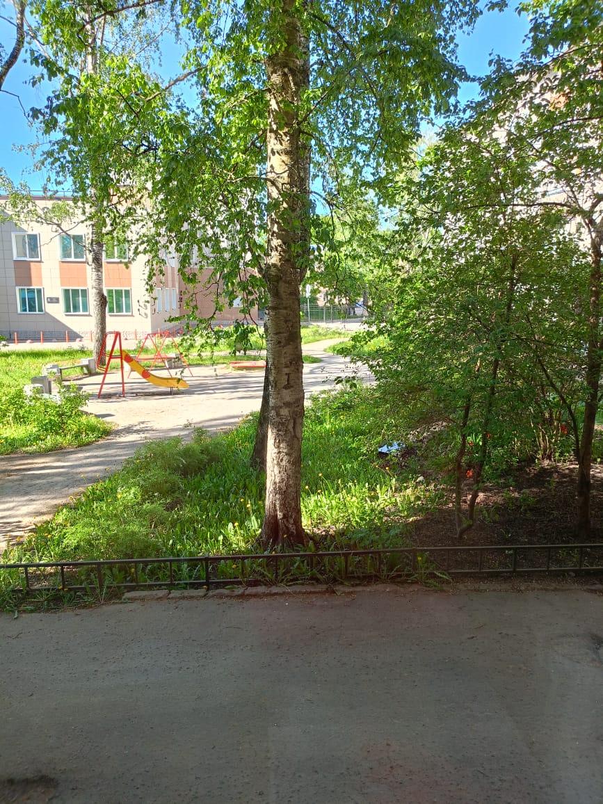 Фото Турист