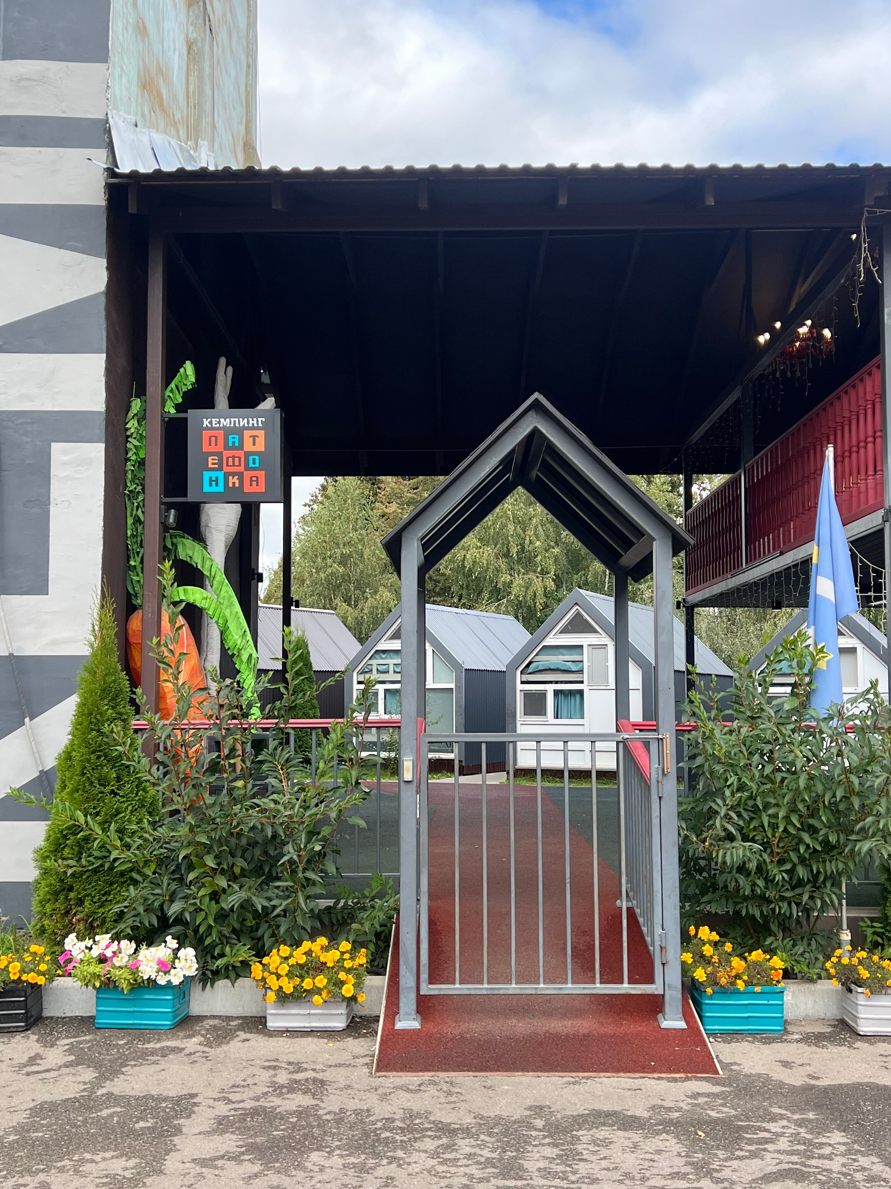 Фото Два гуся