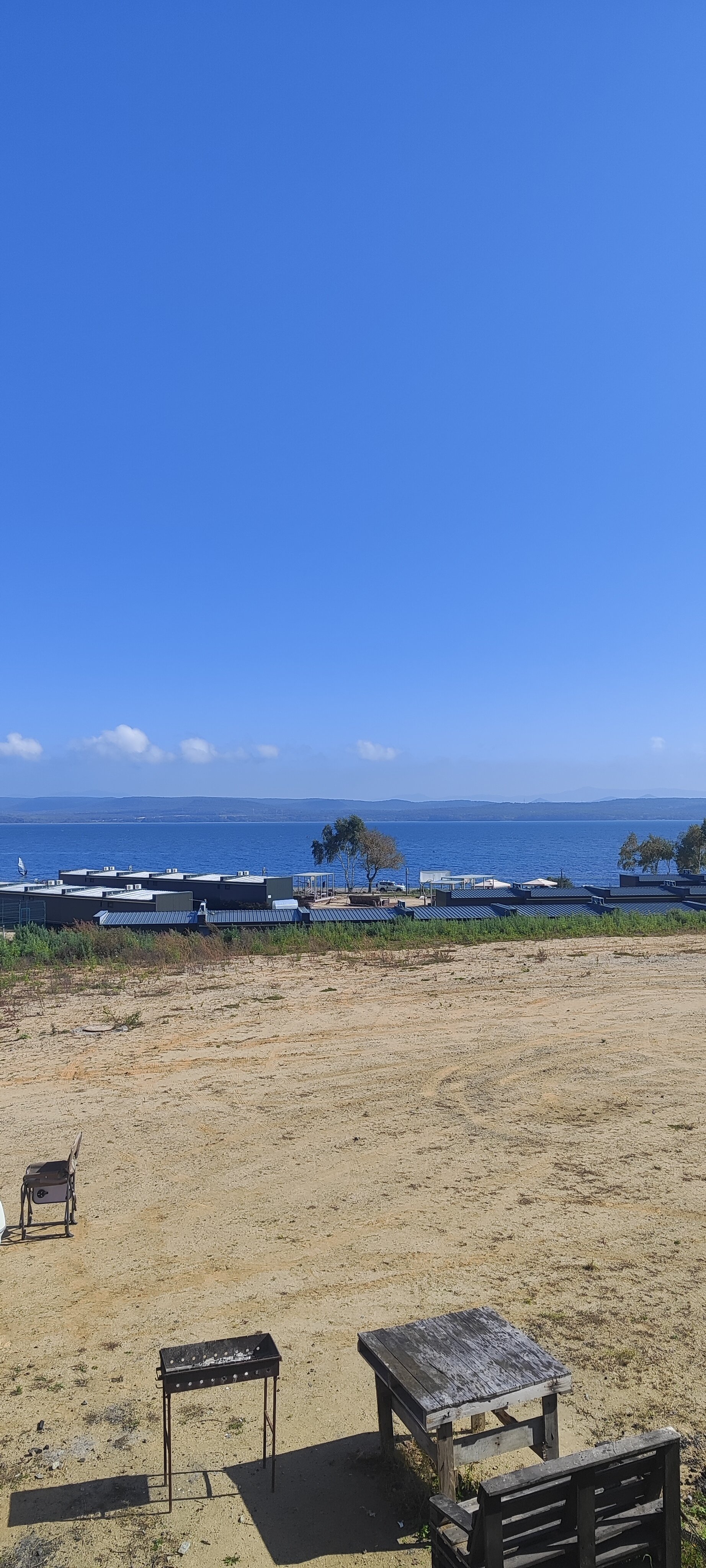 Фото Лазурная черепаха