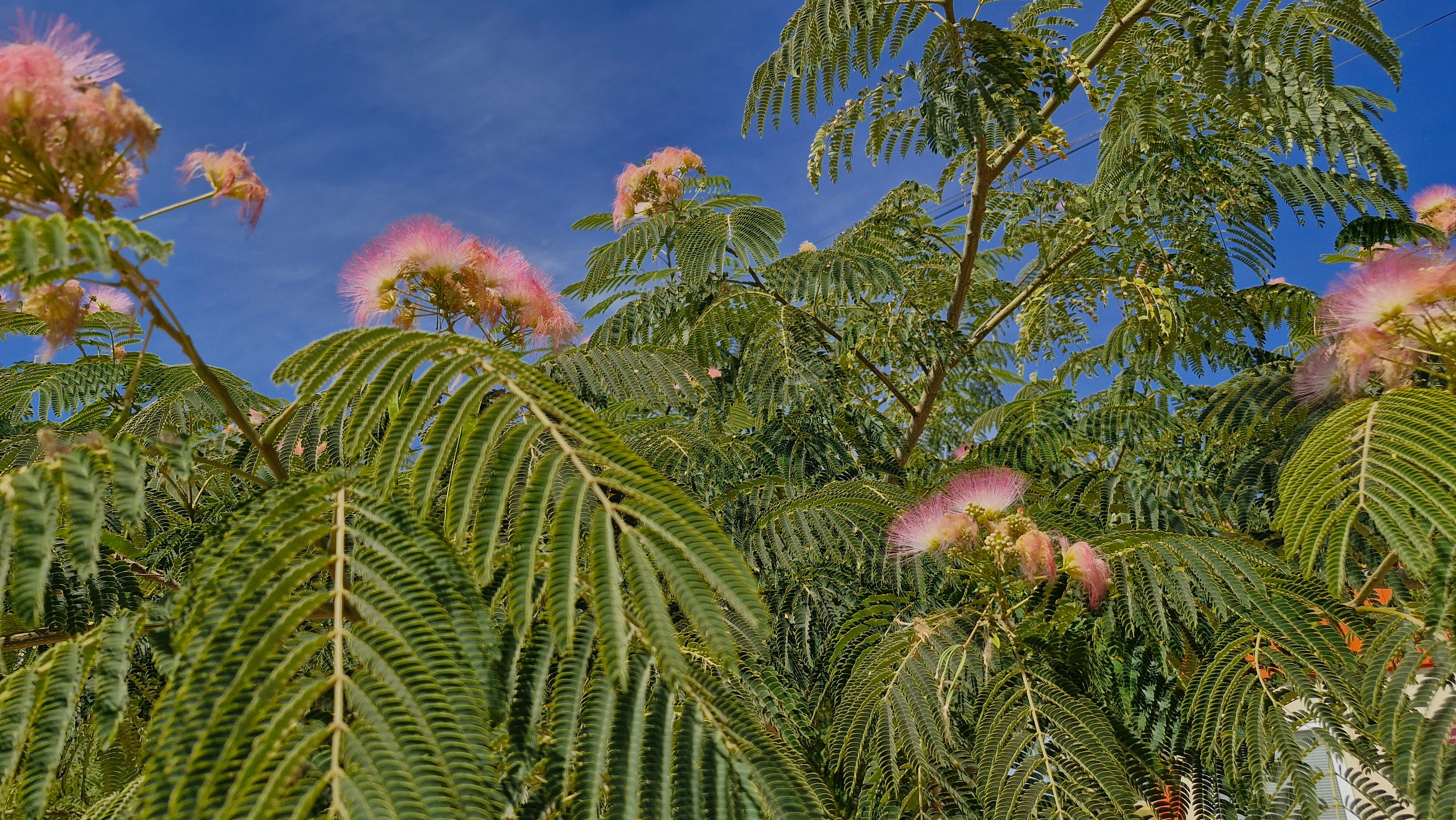 Фото ТриТонЧик