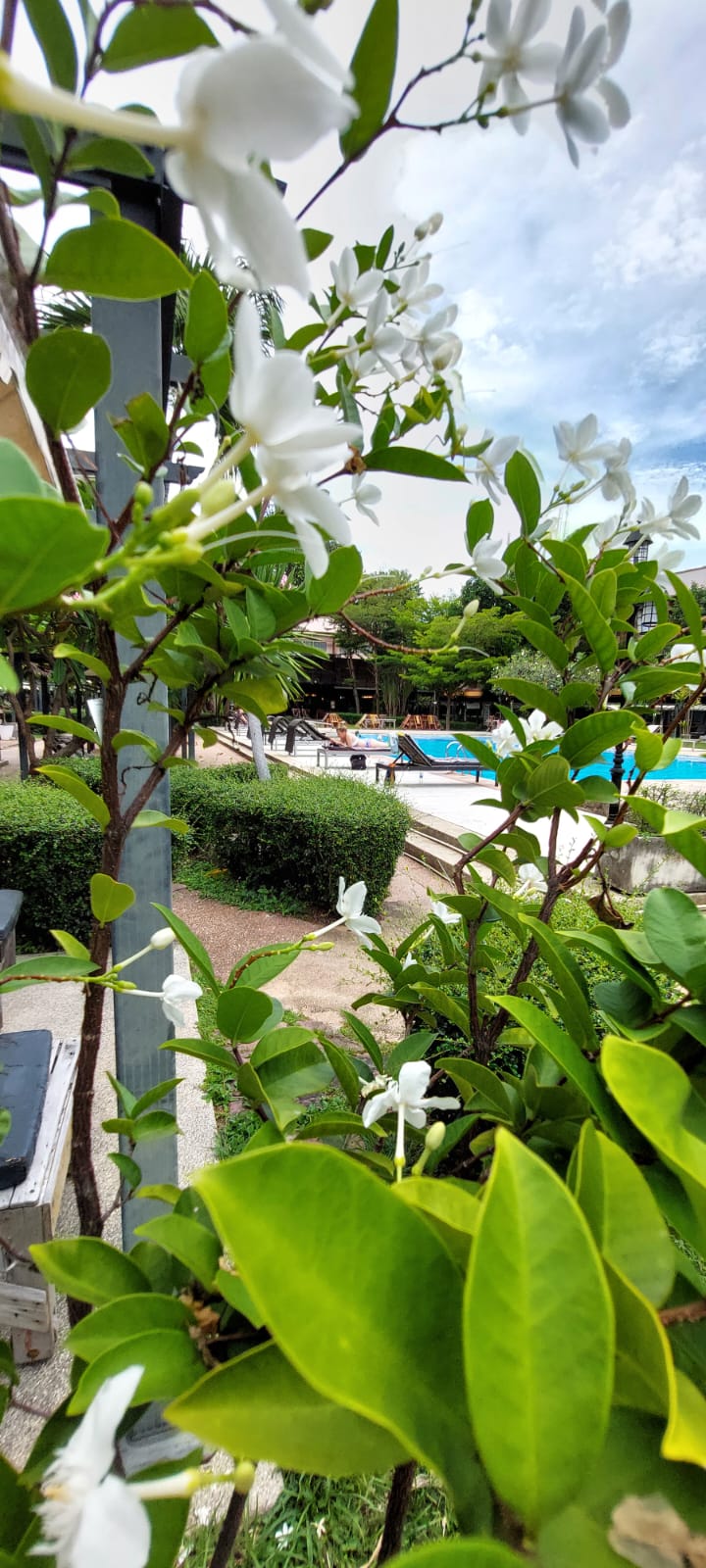 Фото Basaya Beach Hotel & Resort