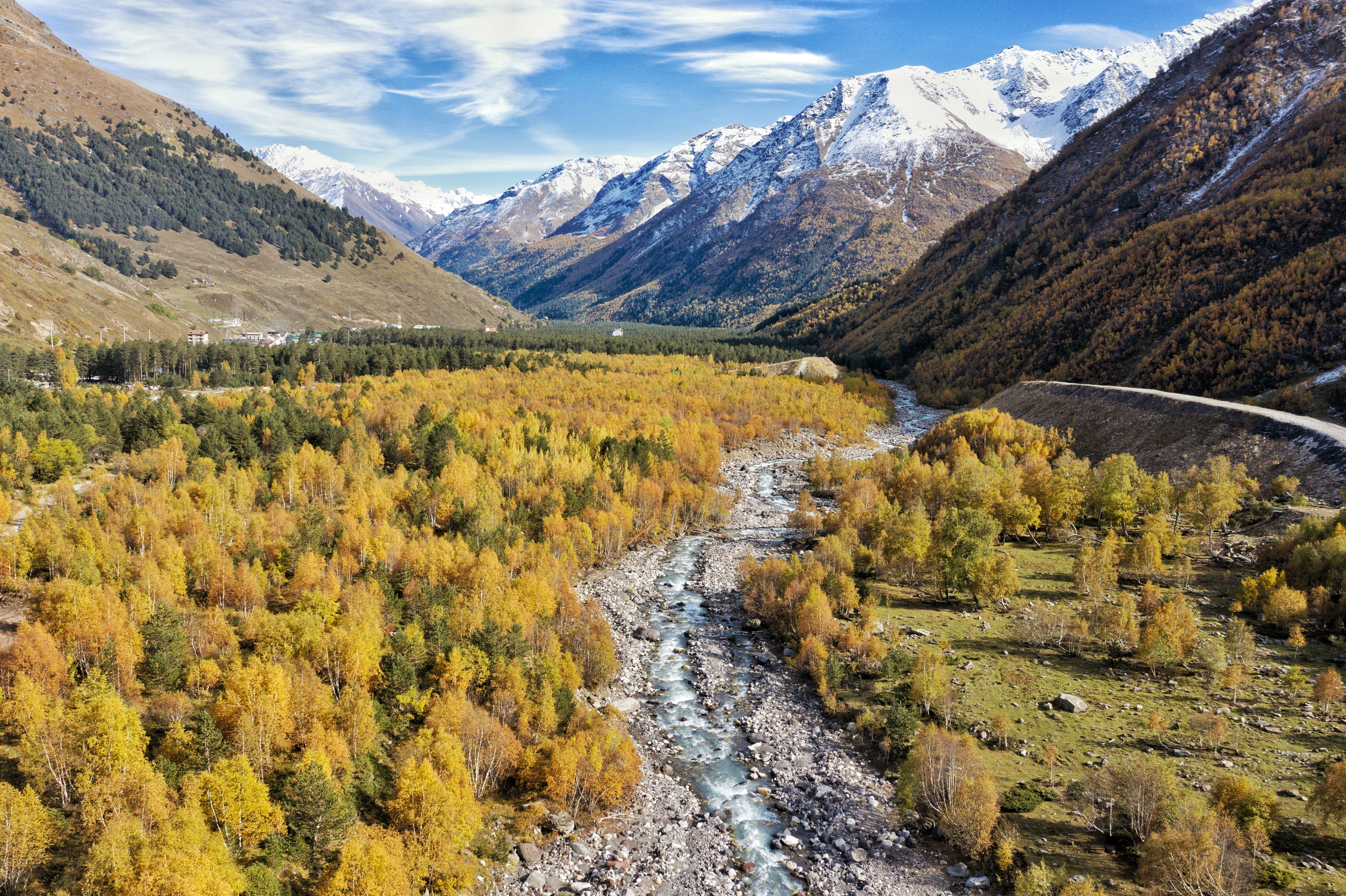 Фото Крокус