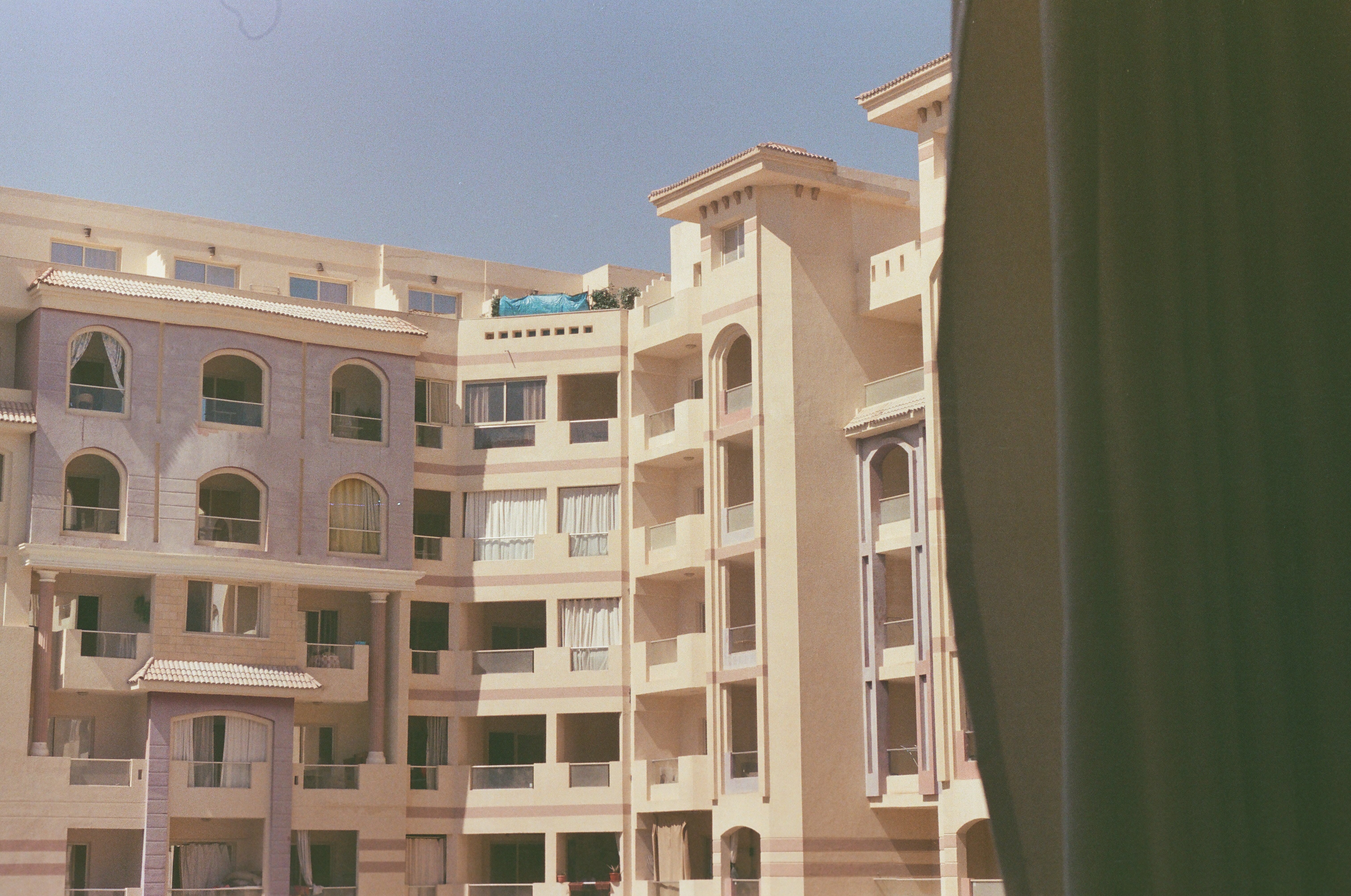 Фото Florenza Khamsin