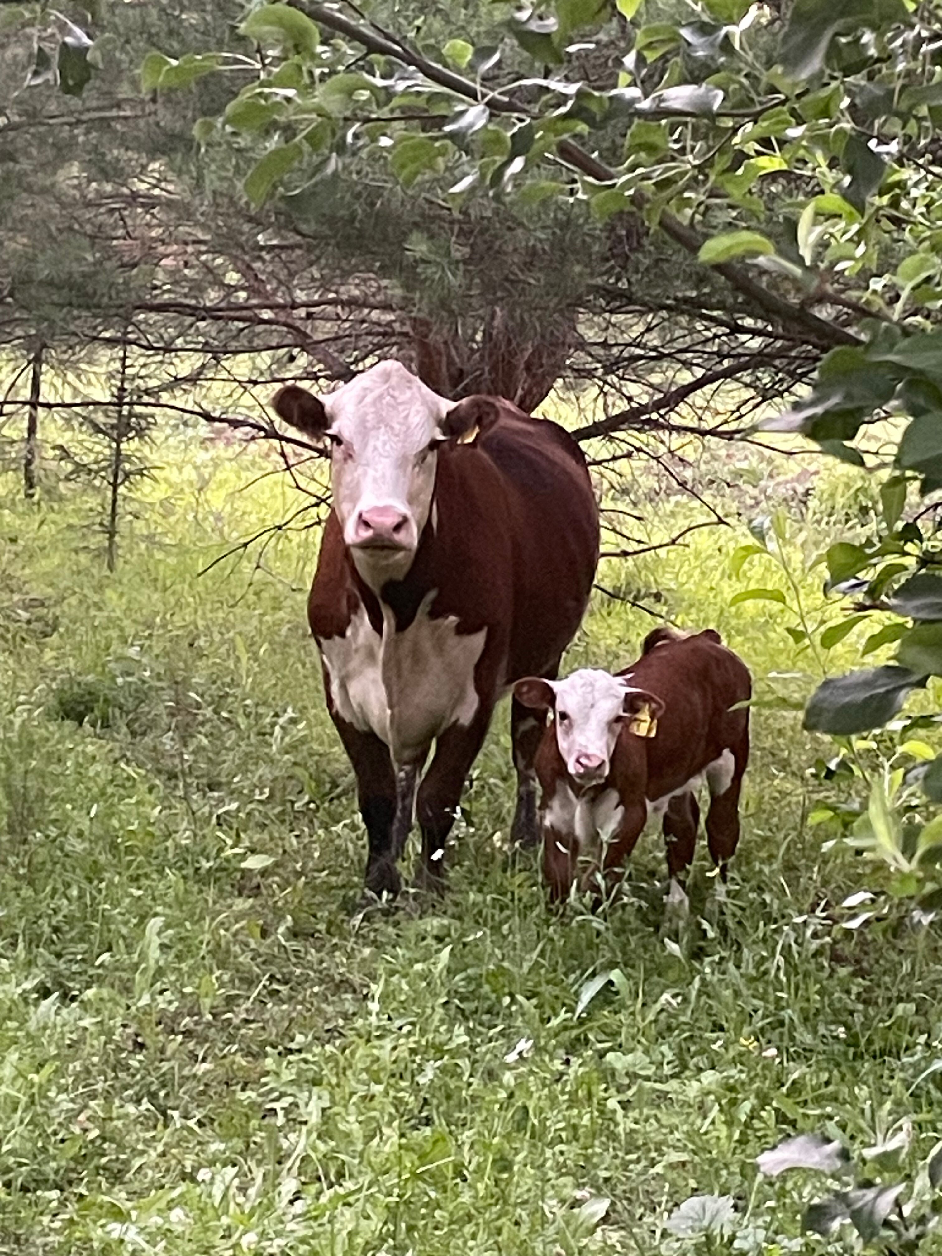 Фото Тайны Юронги