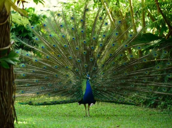 Фото The Farm at San Benito