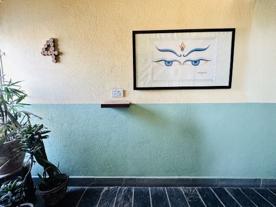 Фото Отель Darwin