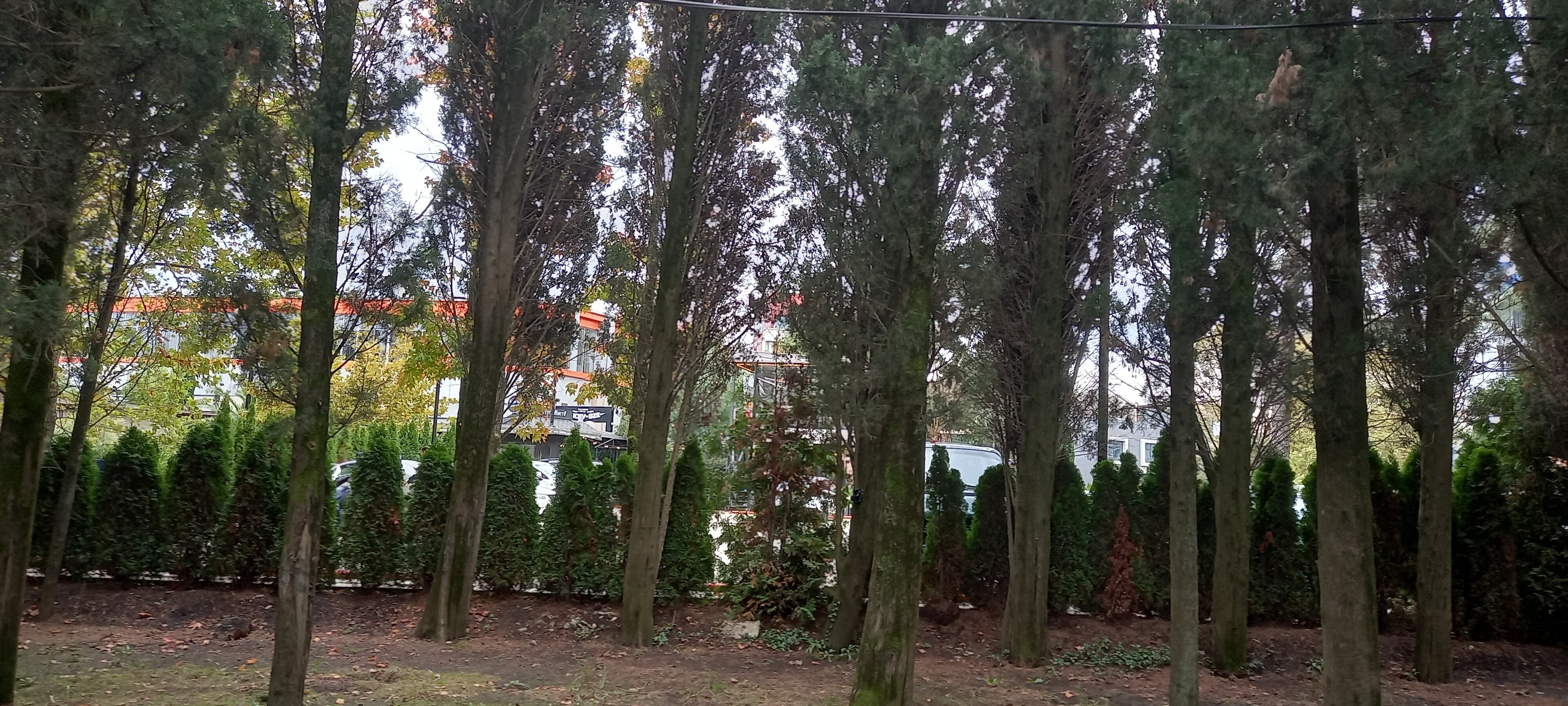 Фото Прованс