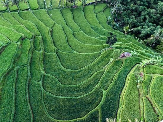 Фото Ijen Resort and Villas