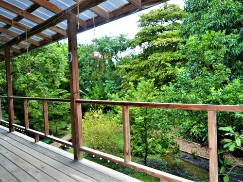Гостиница Tree Top Home In A Jungle Like Oasis in San Ignacio в Кайо