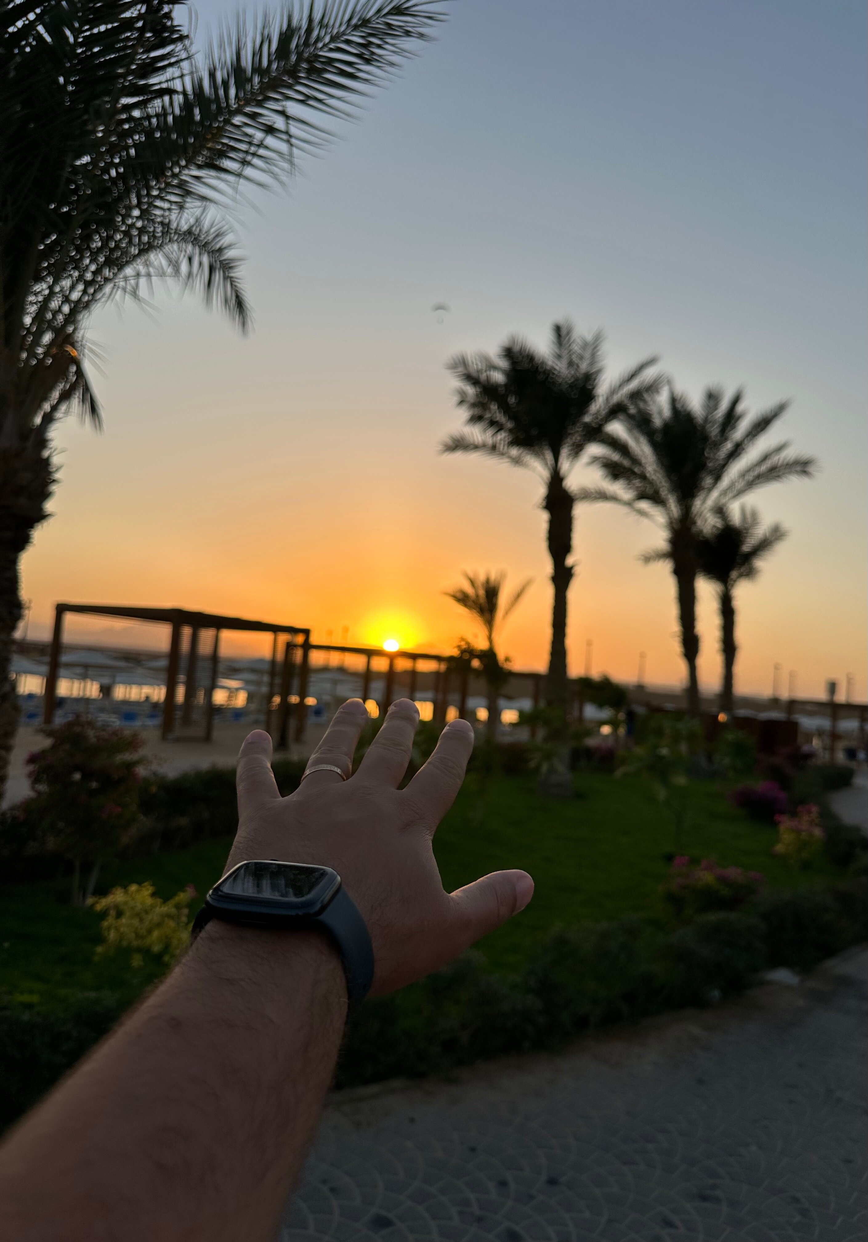 Фото Pyramisa Beach Resort Sahl Hasheesh