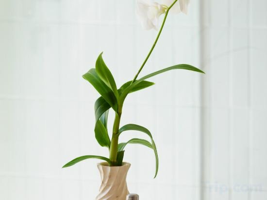 Фото The Little Shore Khao Lak by Katathani