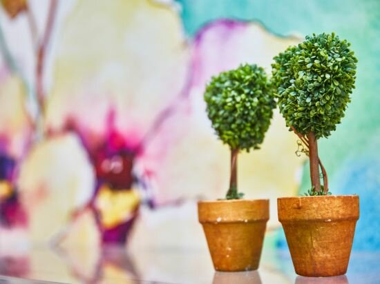 Фото Ibis budget Singapore Selegie