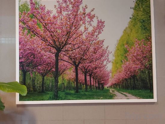 Фото Suriwong Chumphon Hotel