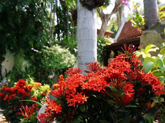 Фото LePrive Resort