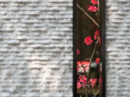 Фото The Hidden House Hotel