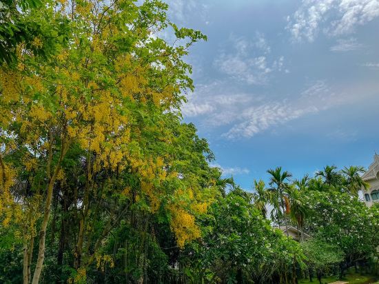 Фото At Pingnakorn Riverside Hotel Chiangmai