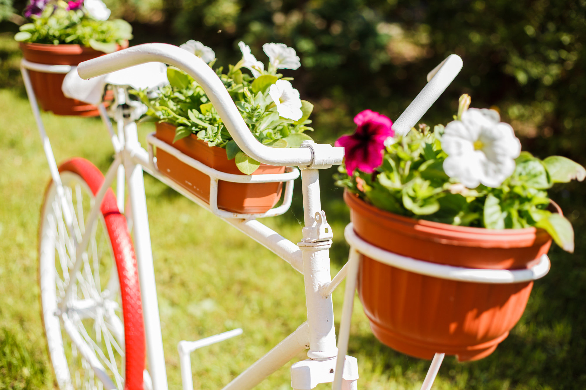 Фото Арт-Холл