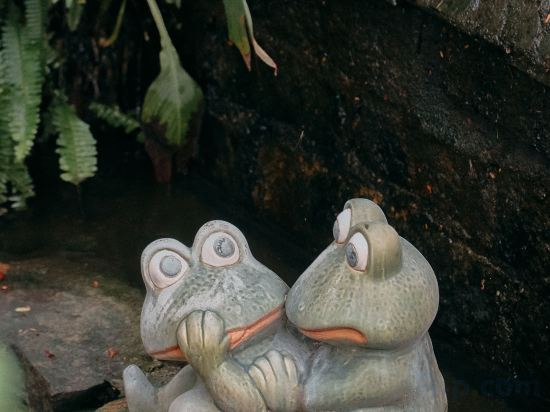 Фото Seahorse Resort & SPA