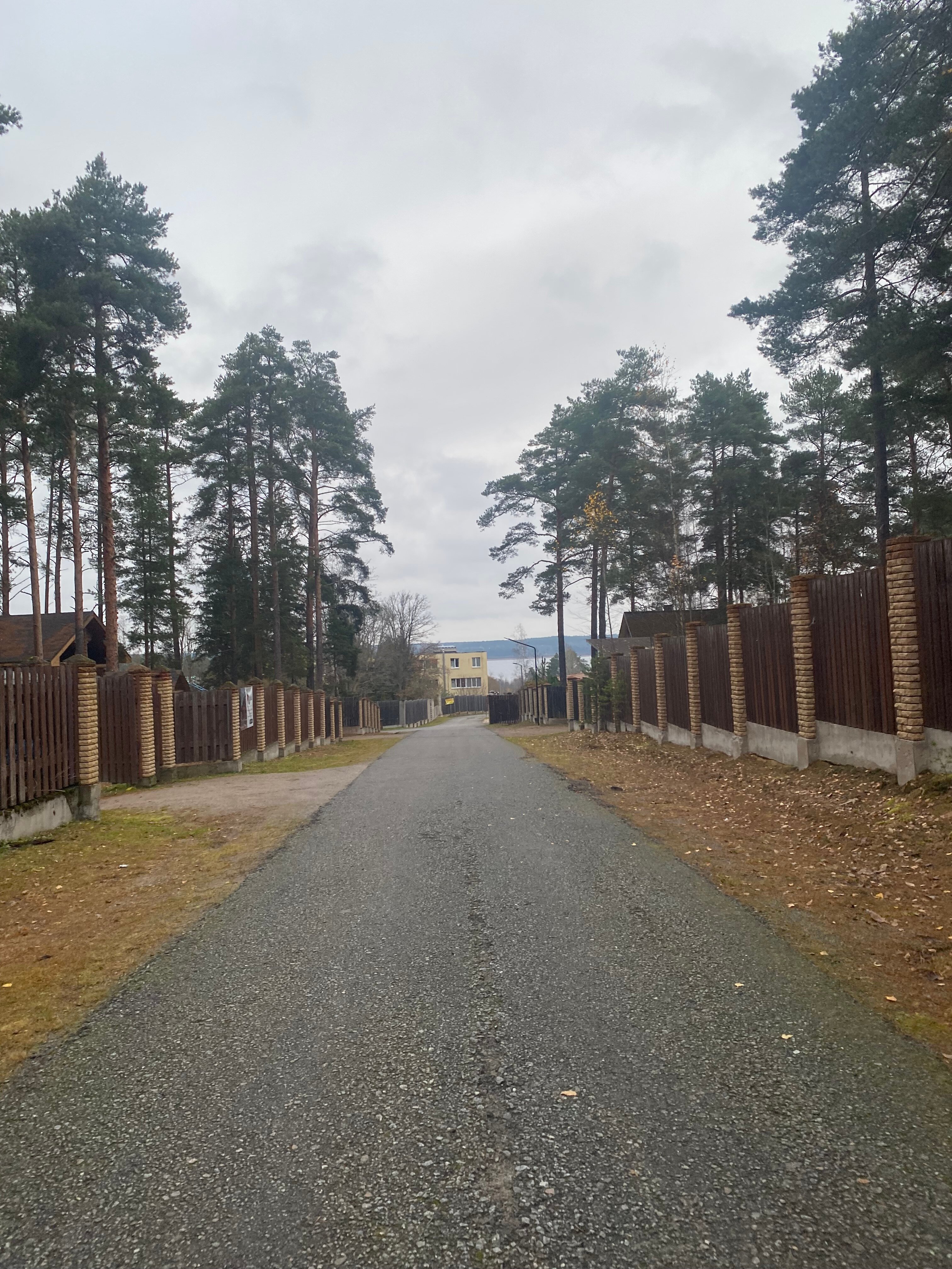 Фото Брусника