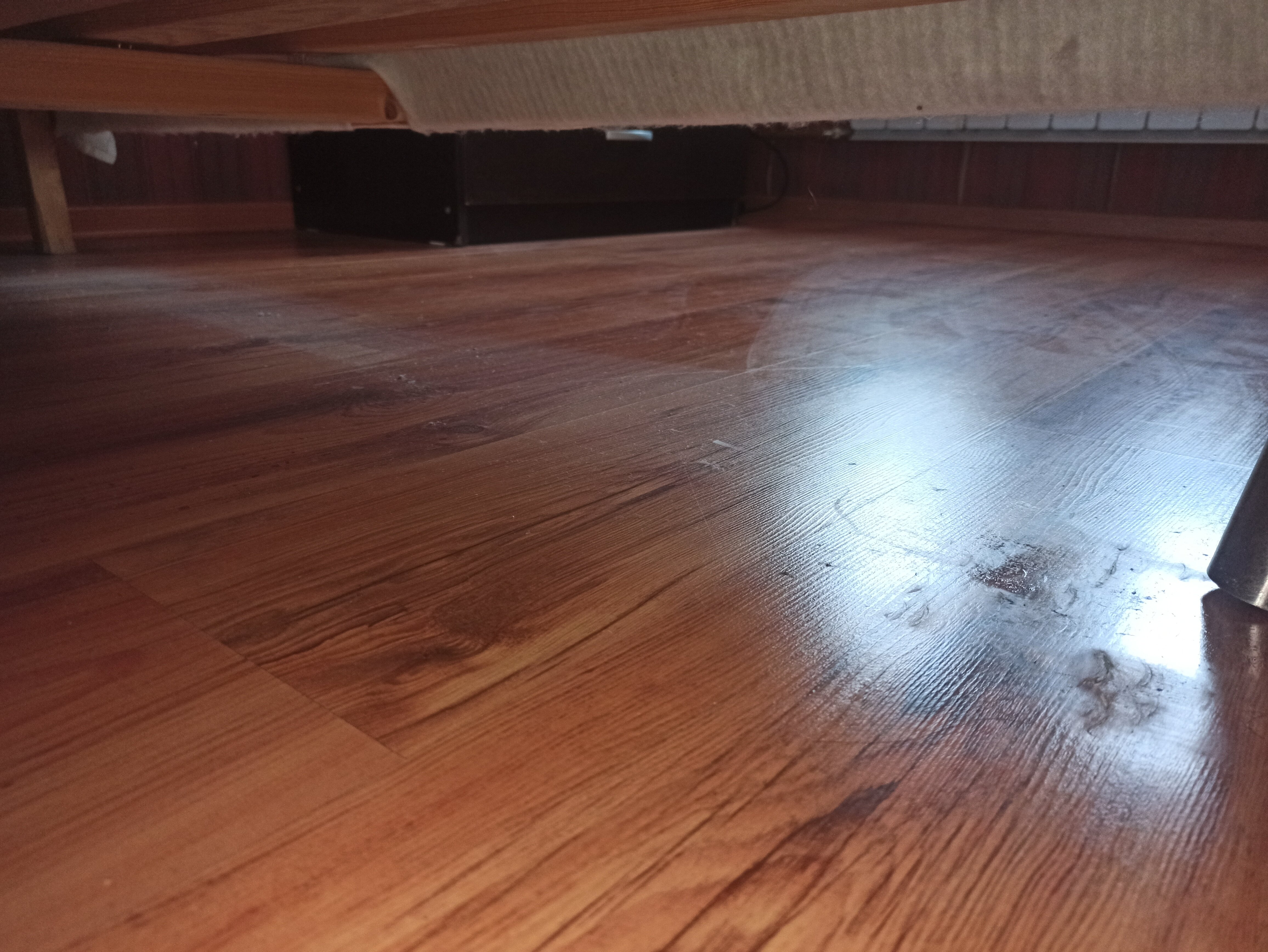 Фото Элегия