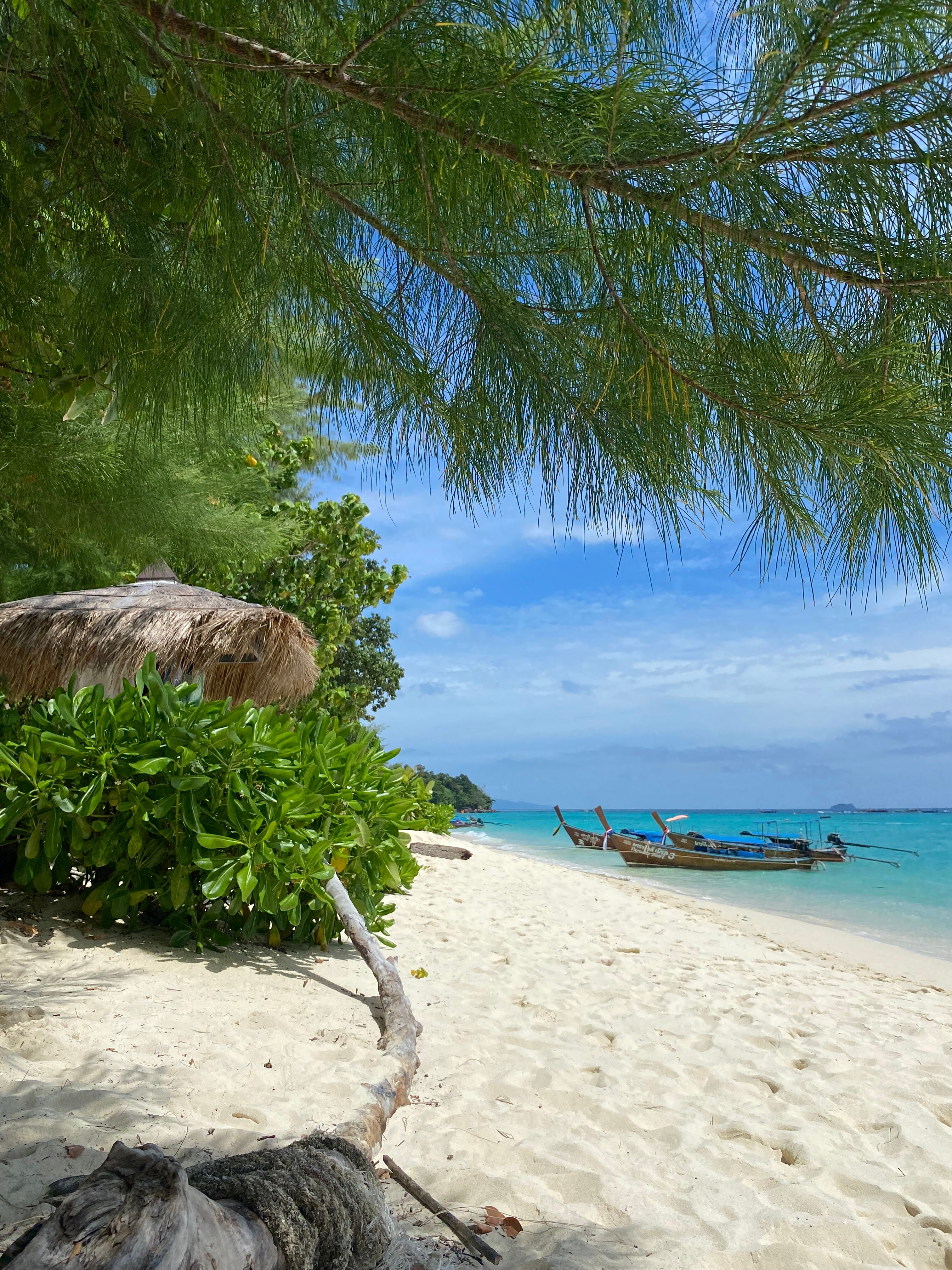 Фото Paradise Pearl Bungalow