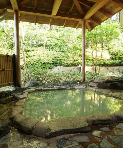 Гостиница Ryokan Kiritani Hakoneso