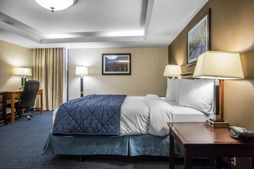 Гостиница Quality Inn Schaumburg - Chicago near the Mall в Элк-Гров-Виллидж