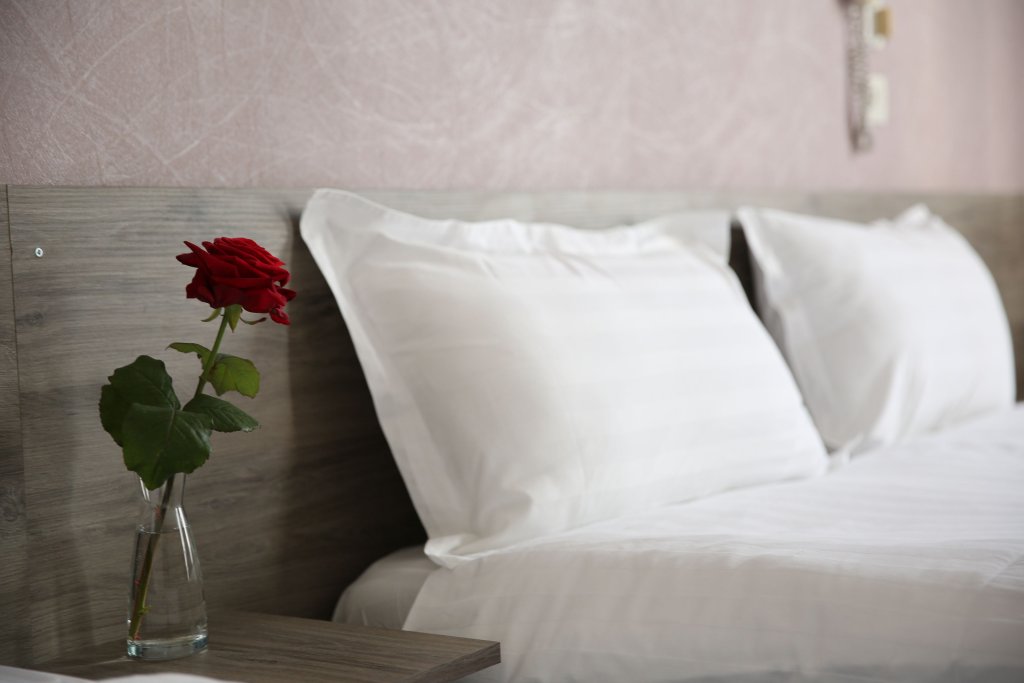 Фото Hotel Du Cygne