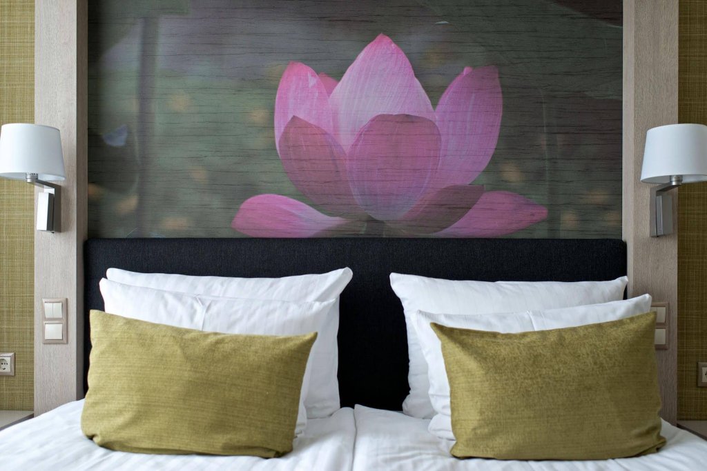 Фото Вильнюс СПА Друскининкай