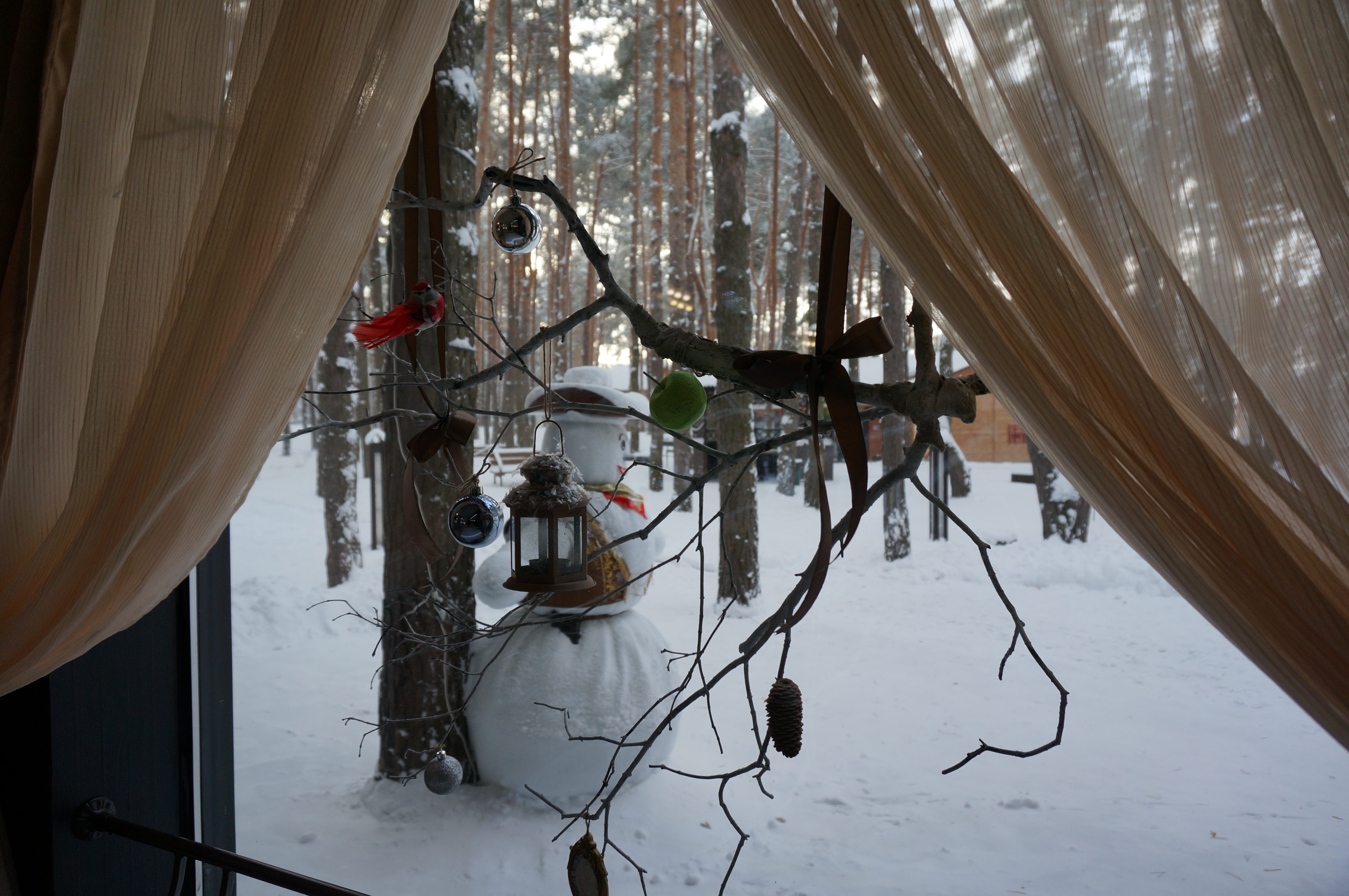 Фото Аркадия