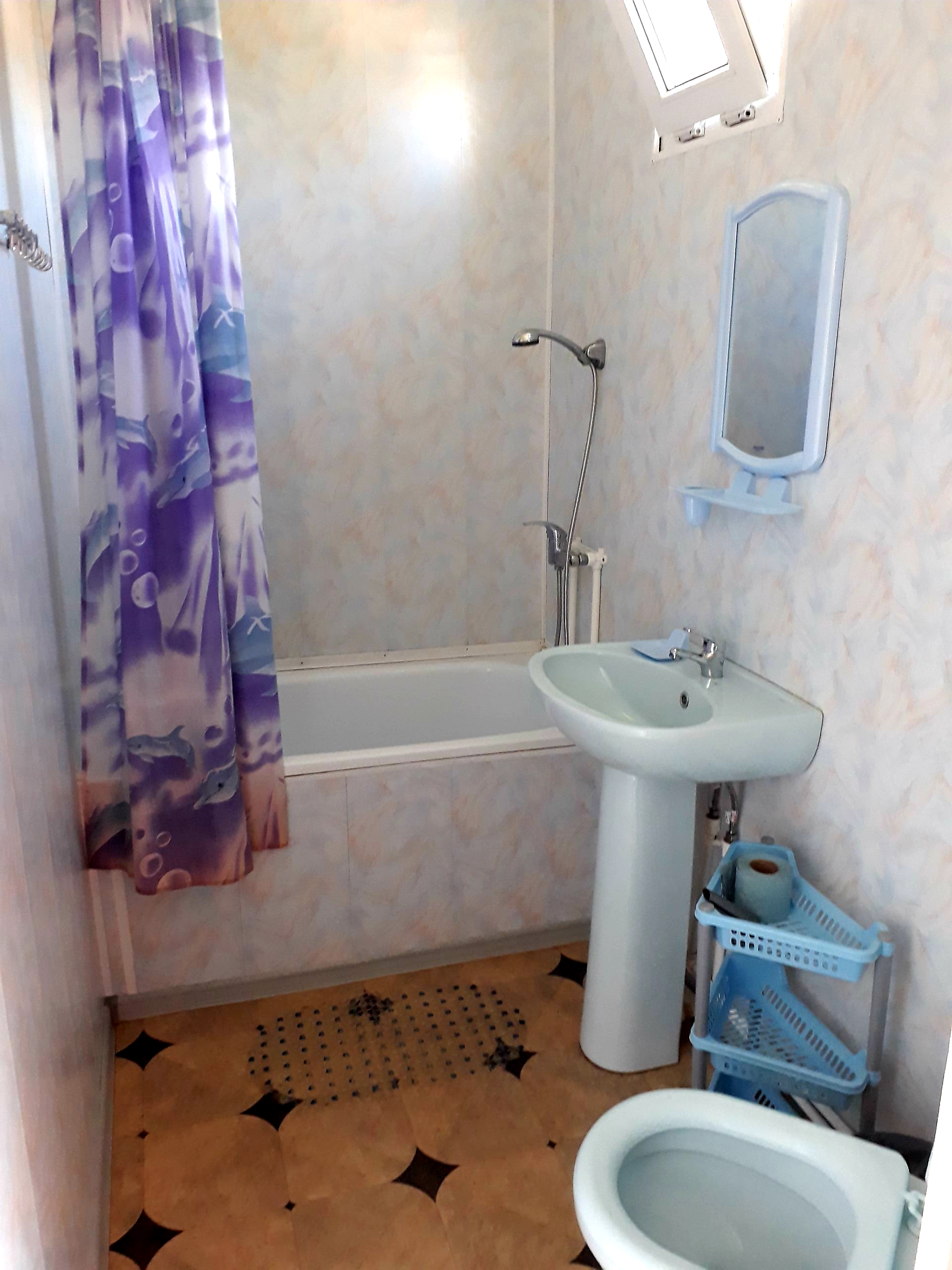 Фото Актиния