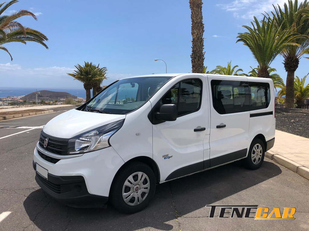 Car rental Tenecar.com, Playa de las Americas, photo