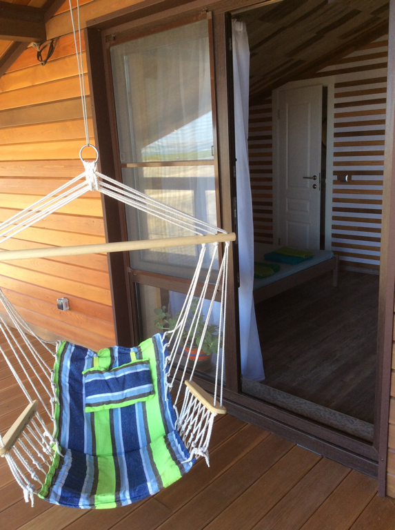 Фото Фридом