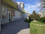 Зоомагазин (Интернациональная улица, 139А), pet shop