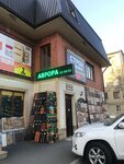 Аврора (Первомайская ул., 28), автоматические двери и ворота во Владикавказе