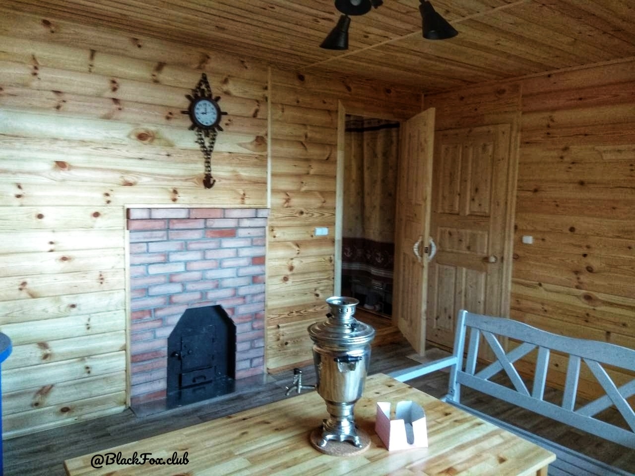 Фото Черная лиса