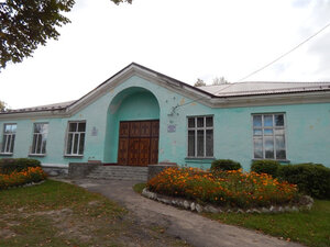 Библиотека (Первомайский пер., 7А, рабочий посёлок Выгоничи), библиотека в Брянской области