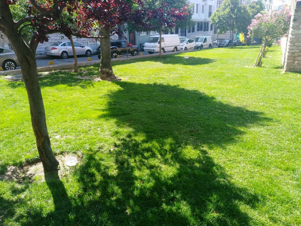 الغابات Seyit Omer Emreni Church Green Areas ، اسطنبول، صورة