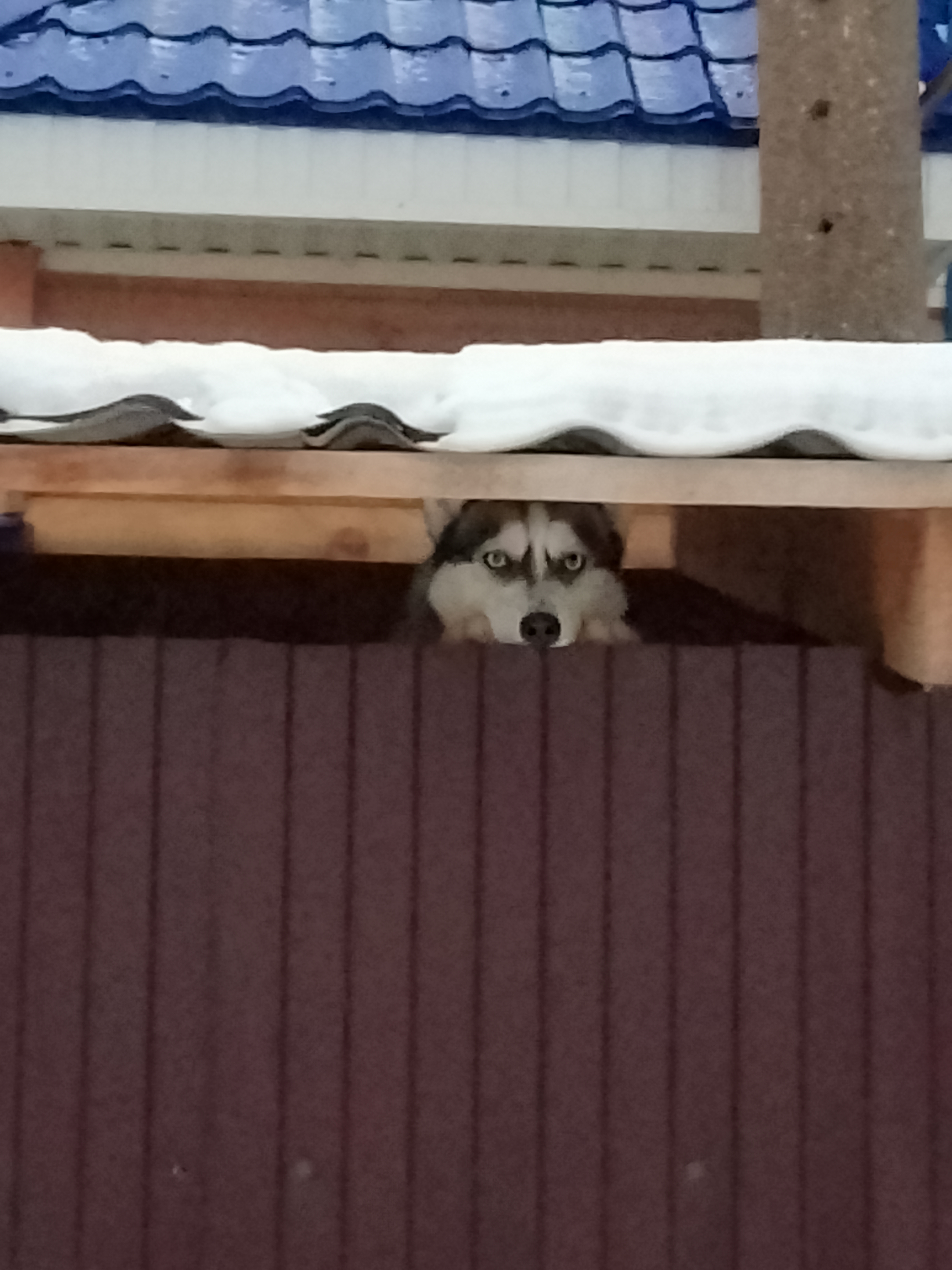 Фото Кумкульский