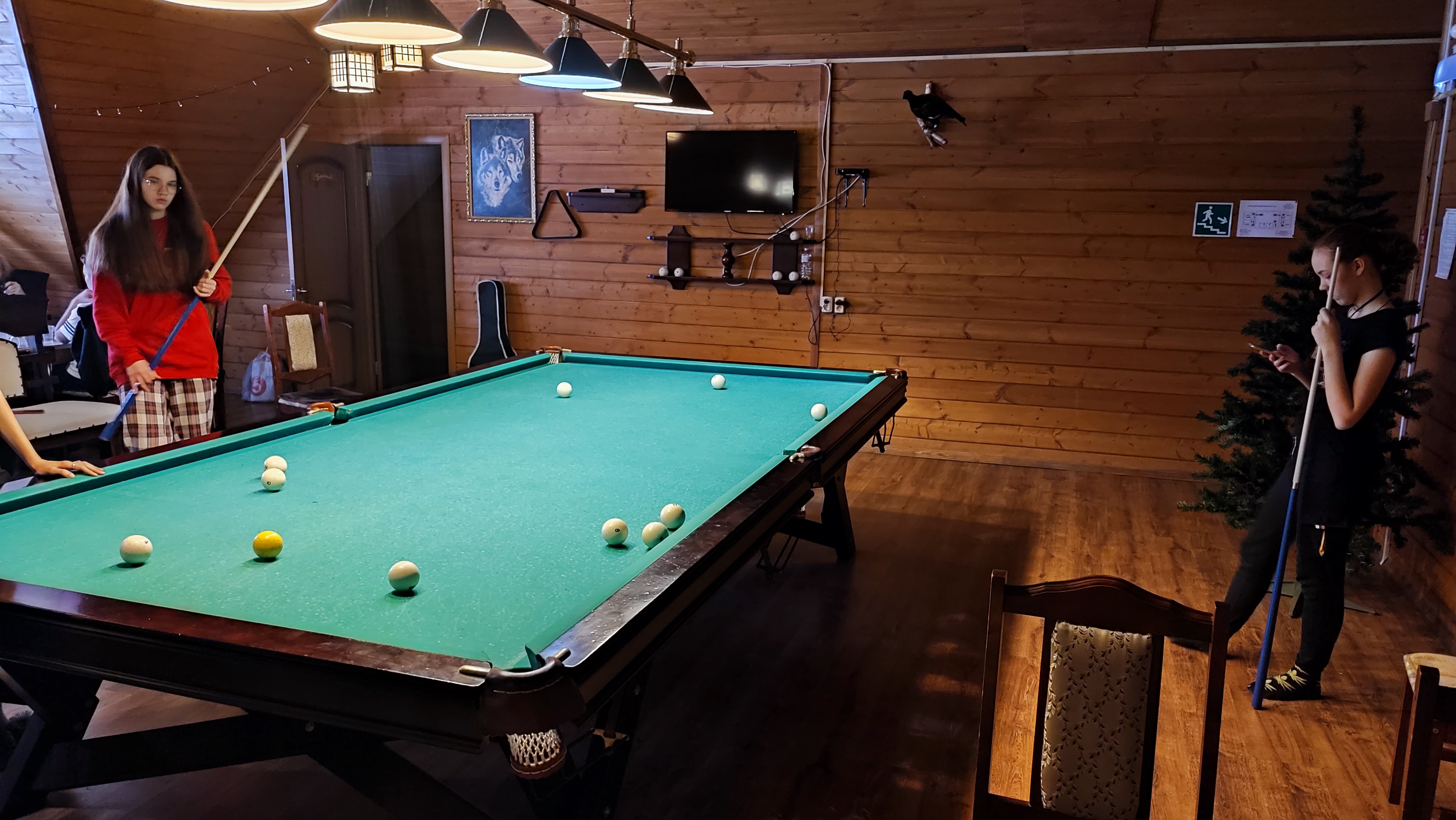 Фото Некрасовская дача