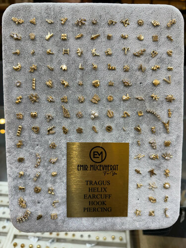 Adige Sarraf Fotoğraf 2