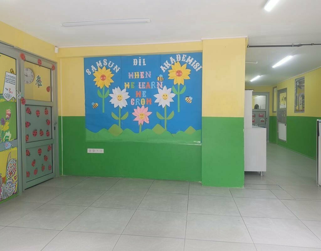 Foreign language courses Samsun Dil Akademisi, Samsun, photo