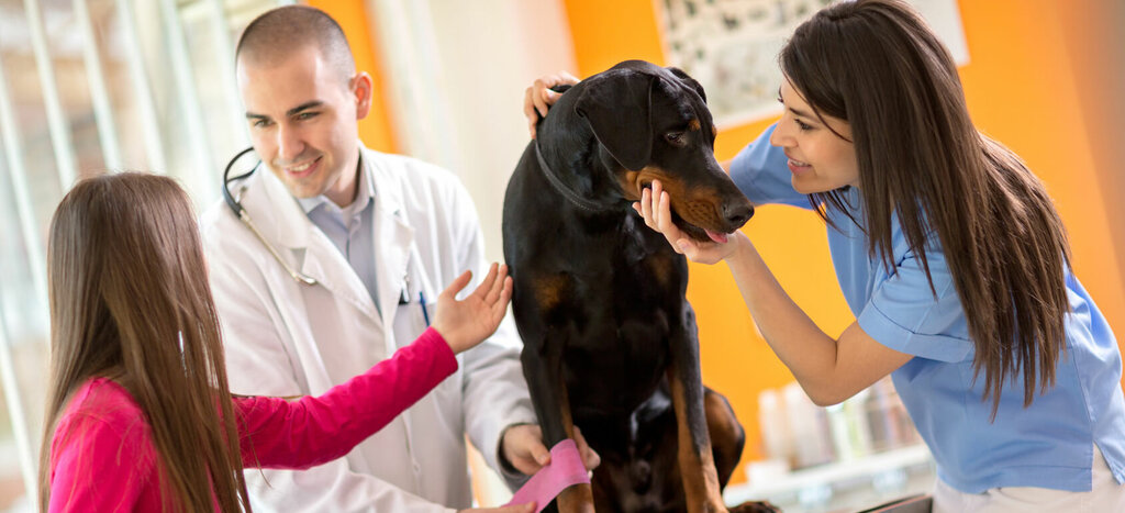 عيادة بيطرية Green Pet Veterinary Clinic ، اسطنبول، صورة