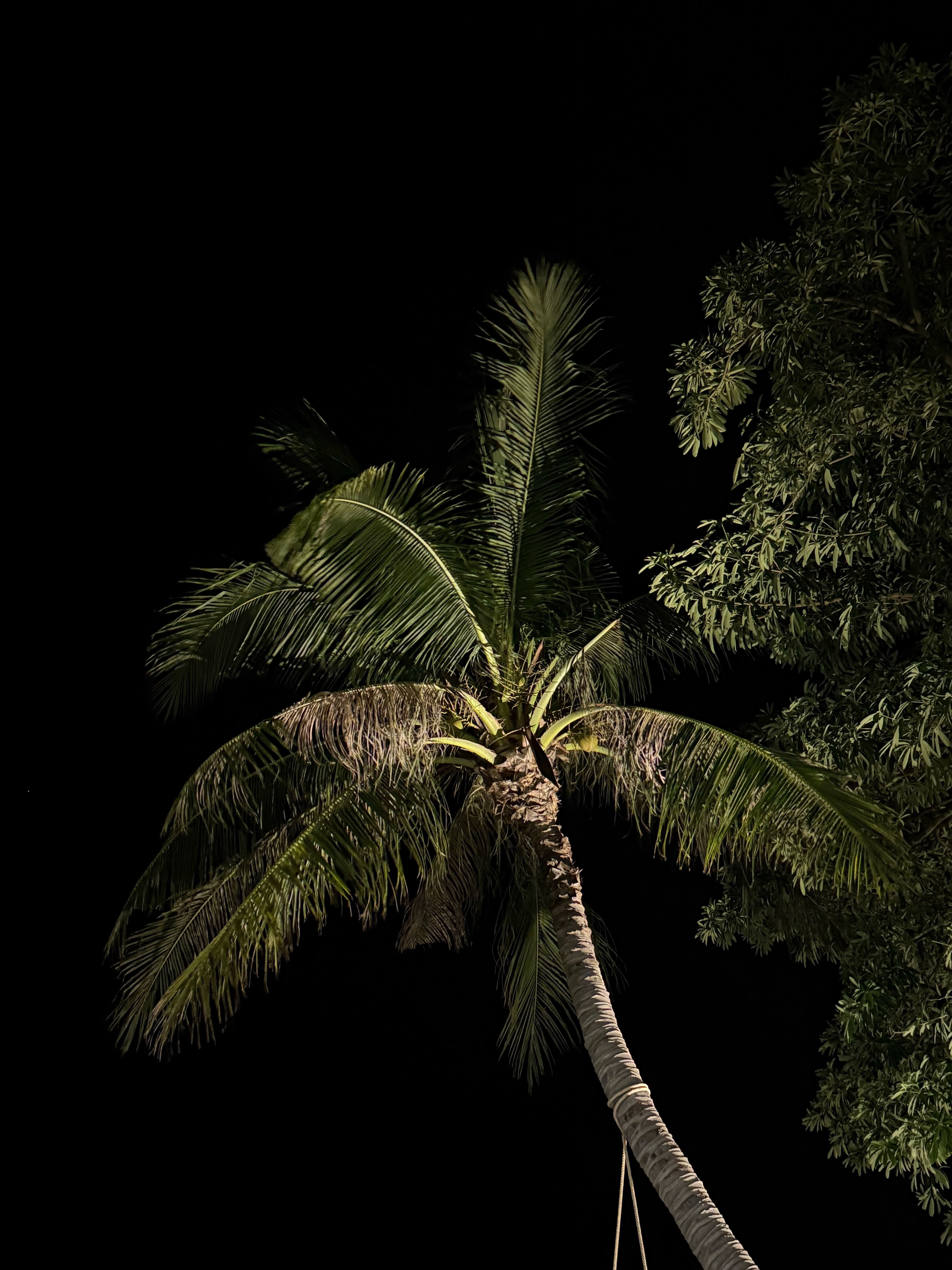 Фото Thai Fight Hotel